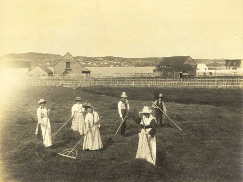women making hay