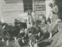 family with dogs