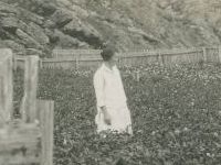 woman in potato patch