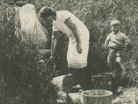 getting water from spring