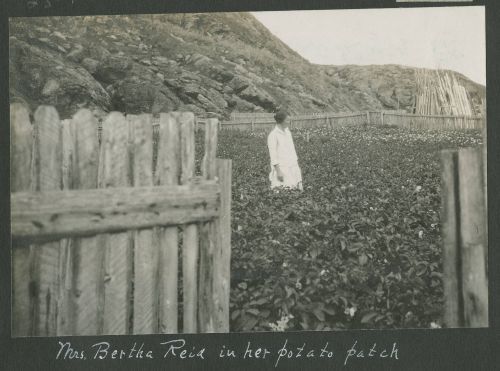bertha reid in her potatoe patch
