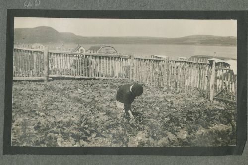 woman working in garden