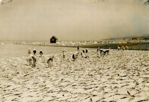 drying fish on beach