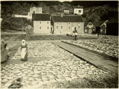 women drying fish