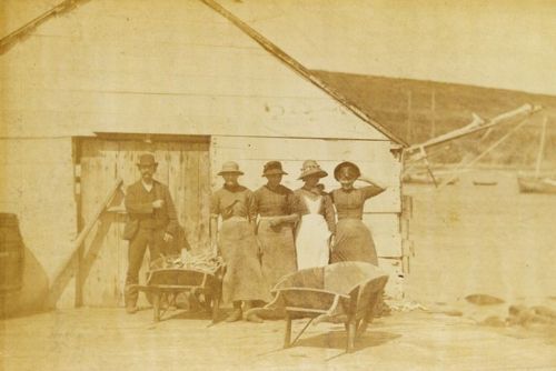 fish women, schooner cove
