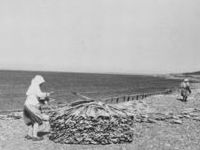 group on beach