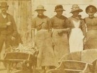 laying codfish