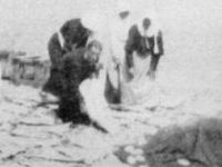 women spreading fish