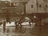 Inuit catching caplin