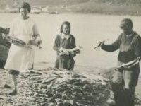 stacking fish on beach