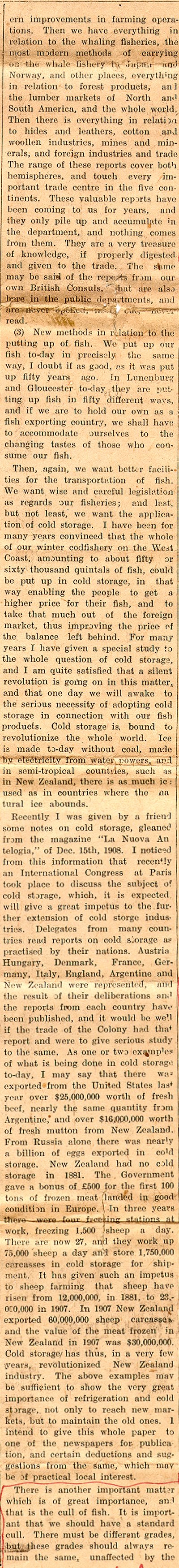 Newspaper clipping from The Daily News, March 15, 1909, Page 4