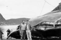 Thumbnail version of image