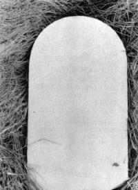 Thumbnail version of image