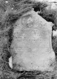 Thumbnail version of image