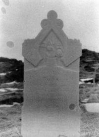 Thumbnail version of image