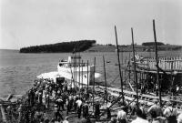 Thumbnail version of image