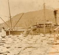 Thumbnail version of image