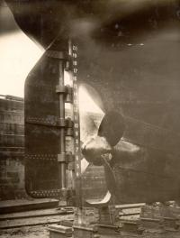 Thumbnail version of image