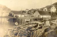 Thumbnail version of image