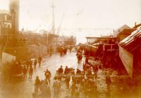 Thumbnail version of image