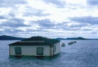 Thumbnail version of image