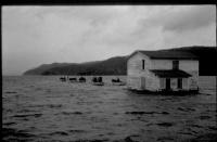 Thumbnail version of image