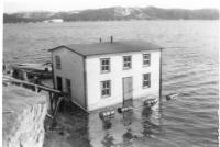 Thumbnail version of image