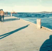 Thumbnail version of image