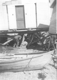 Thumbnail version of image