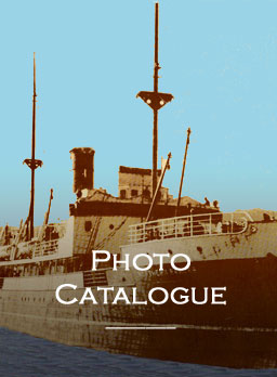 Public Photo Catalogue Search