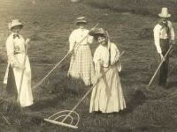 Women making hay