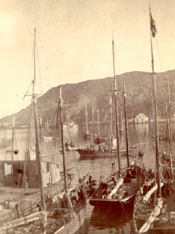 Job Brothers & Co. dock, north side, St. John's harbour