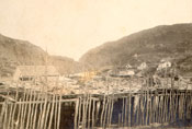 View of Quidi Vidi with fish flakes in the foreground