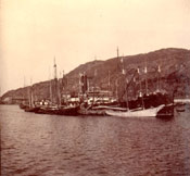 Unidentified vessels at Job Brothers & Co. premises, south side, St. John's harbour