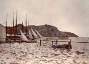 Codfish spread for drying at Job Brothers & Co., north side premises, Signal Hill in background