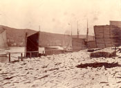 Codfish spread for drying at Job Brothers & Co., north side premises