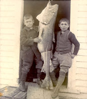 Two boys standing by a large codfish, Labrador