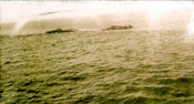 Whale spray on the ocean