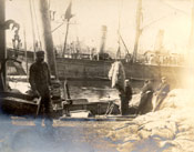 Men unloading seal pelts