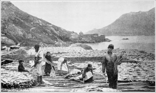 Gathering Fish in the Outer Battery, ca. 1900