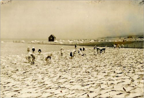 Women Making Saltfish, Grand Bank, ca. 1925