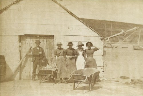 Fish Women, Schooner Cove, Labrador, 1886?