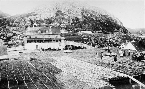 Fish Flakes at Burin, 188-