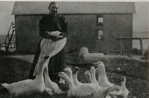 Ellen and her Geese, 1880?