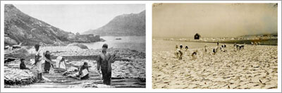 Fishery Photo Gallery