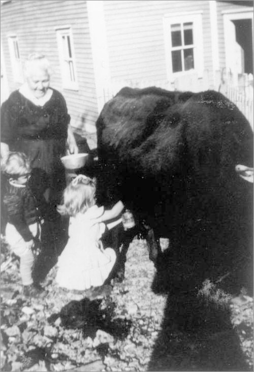 Grandchildren Milking a Cow, ca. 1950