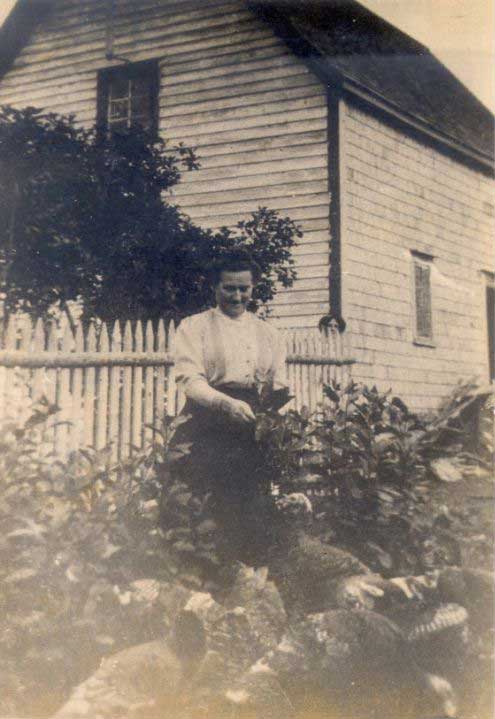 Tryphena Butt Forward Feeding he Turkeys, 191-