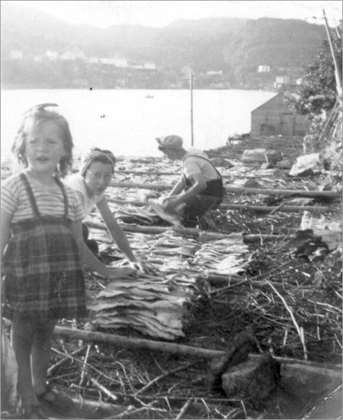 Spreading Fish at Kerleys Harbour, 1956