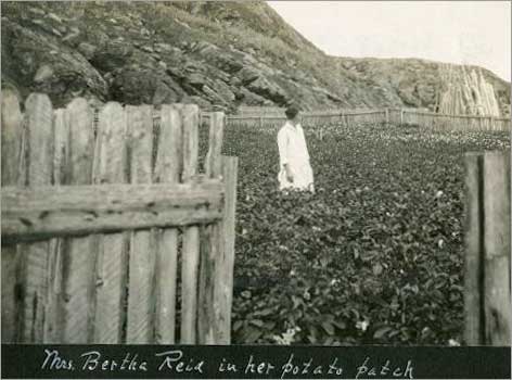 Mrs. Bertha Reid in her potato patch, 1930