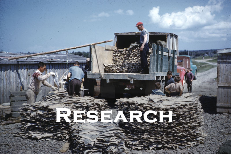 Loading dried cod fish onto Walter Kendall's truck, Mainland, NL, 1960, PF-357.1056